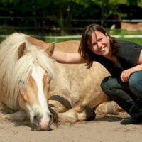 Sybille Freund - Pferdefreund Pferdegestützte Therapie und Reitunterricht